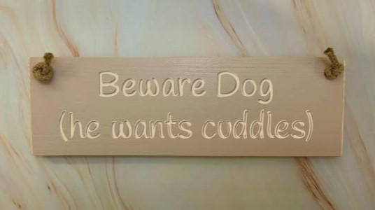 Beware-Dog-he-wants-cuddle potted