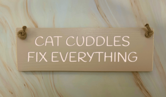 CAT CUDDLES PINK e1787419684784